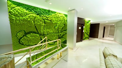 Foyer Musgo